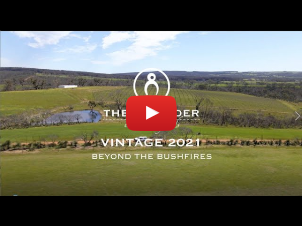 Vintage 2021: Beyond the bushfires. Our update on our recover and launch of our first vintage 2021 release wines